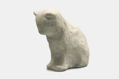 Junge Katze, sitzend