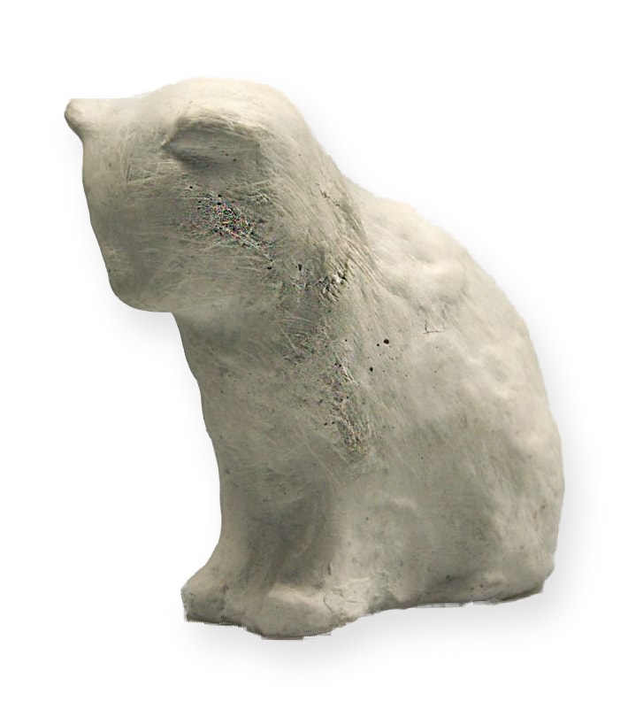 Junge Katze, sitzend – その他のビュー 1