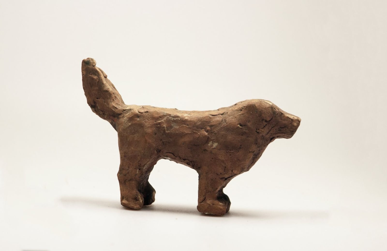 Stehender Hund – More views 3