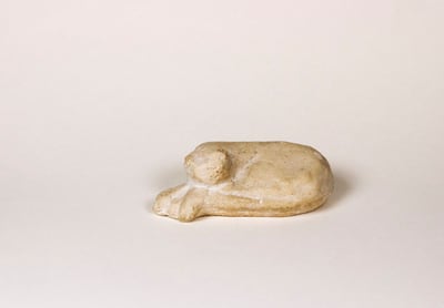 Schlafende Katze