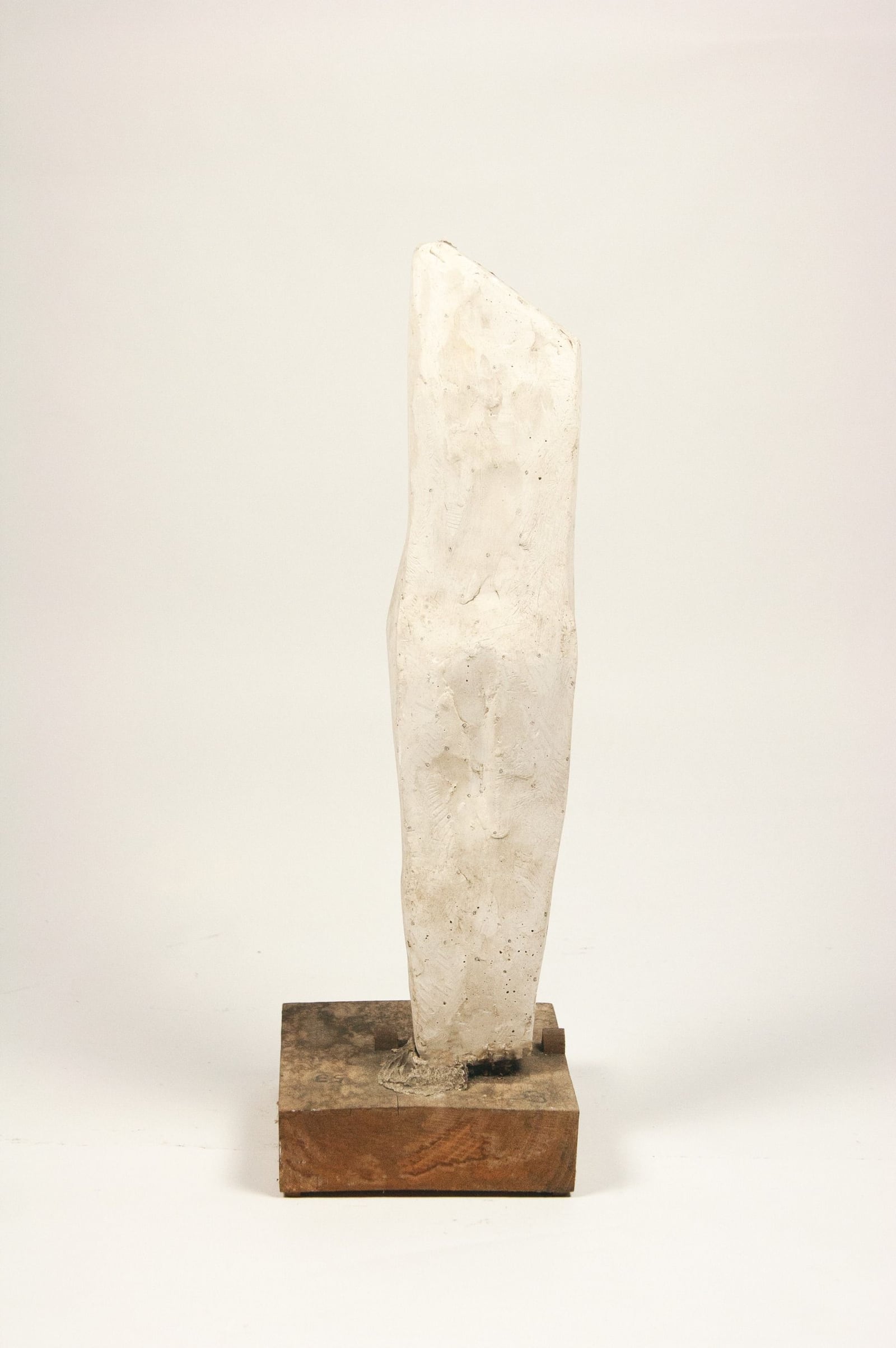 Torso – More views 2