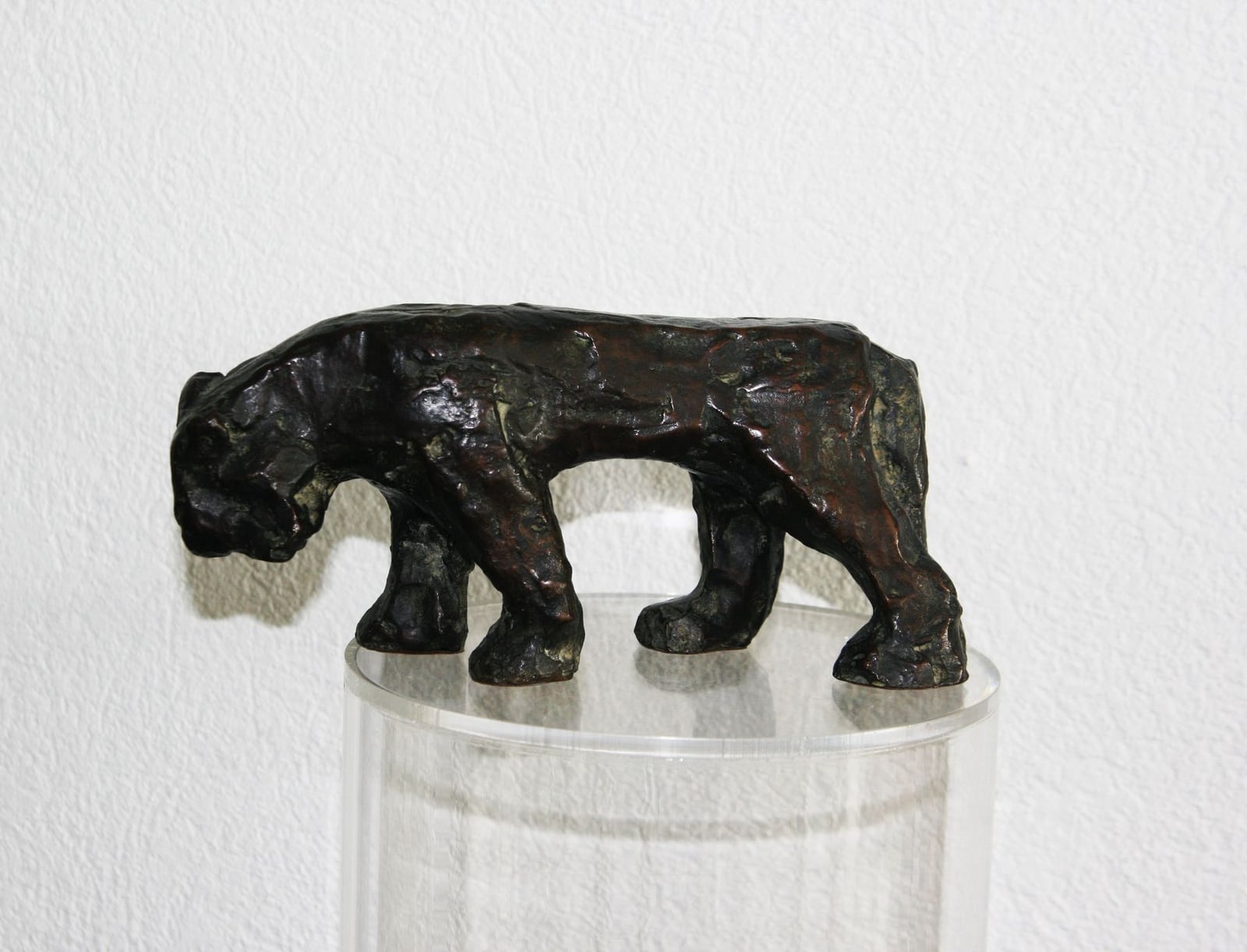 AlterTiger – More views 1