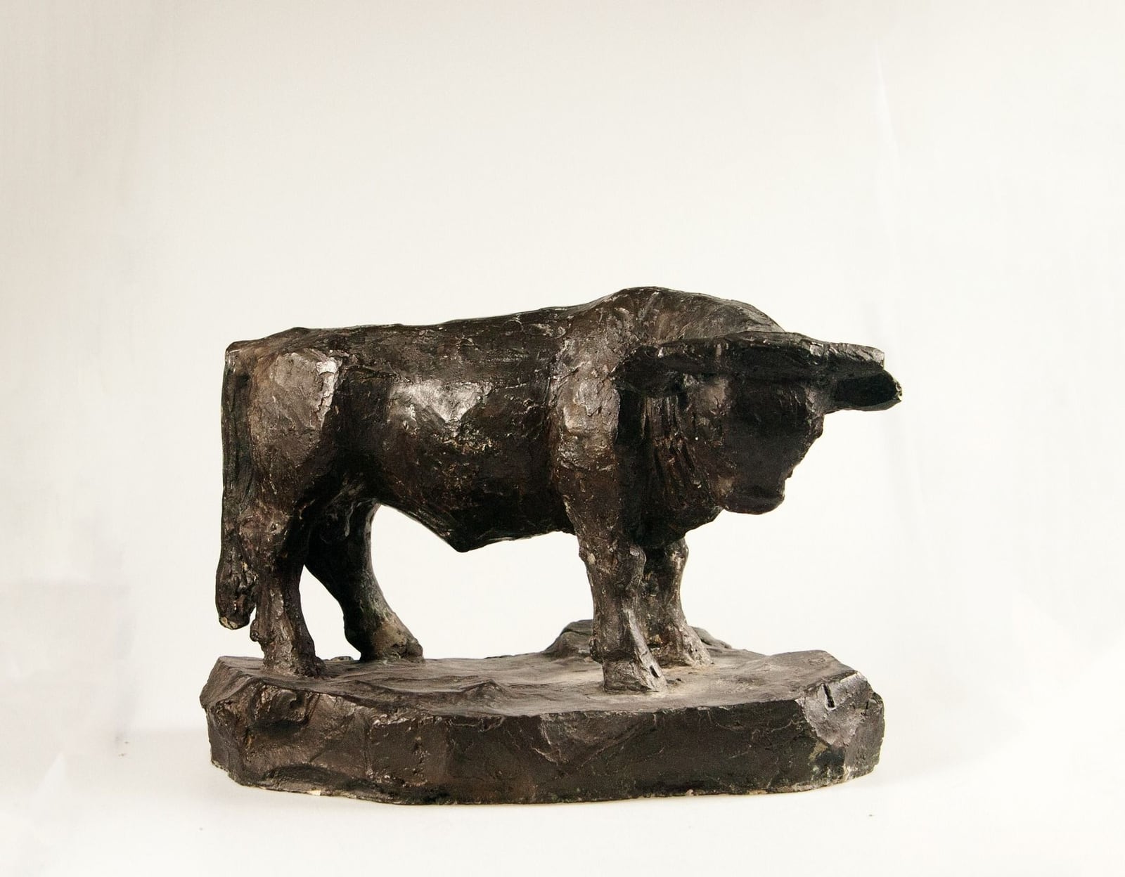 Stier – More views 2