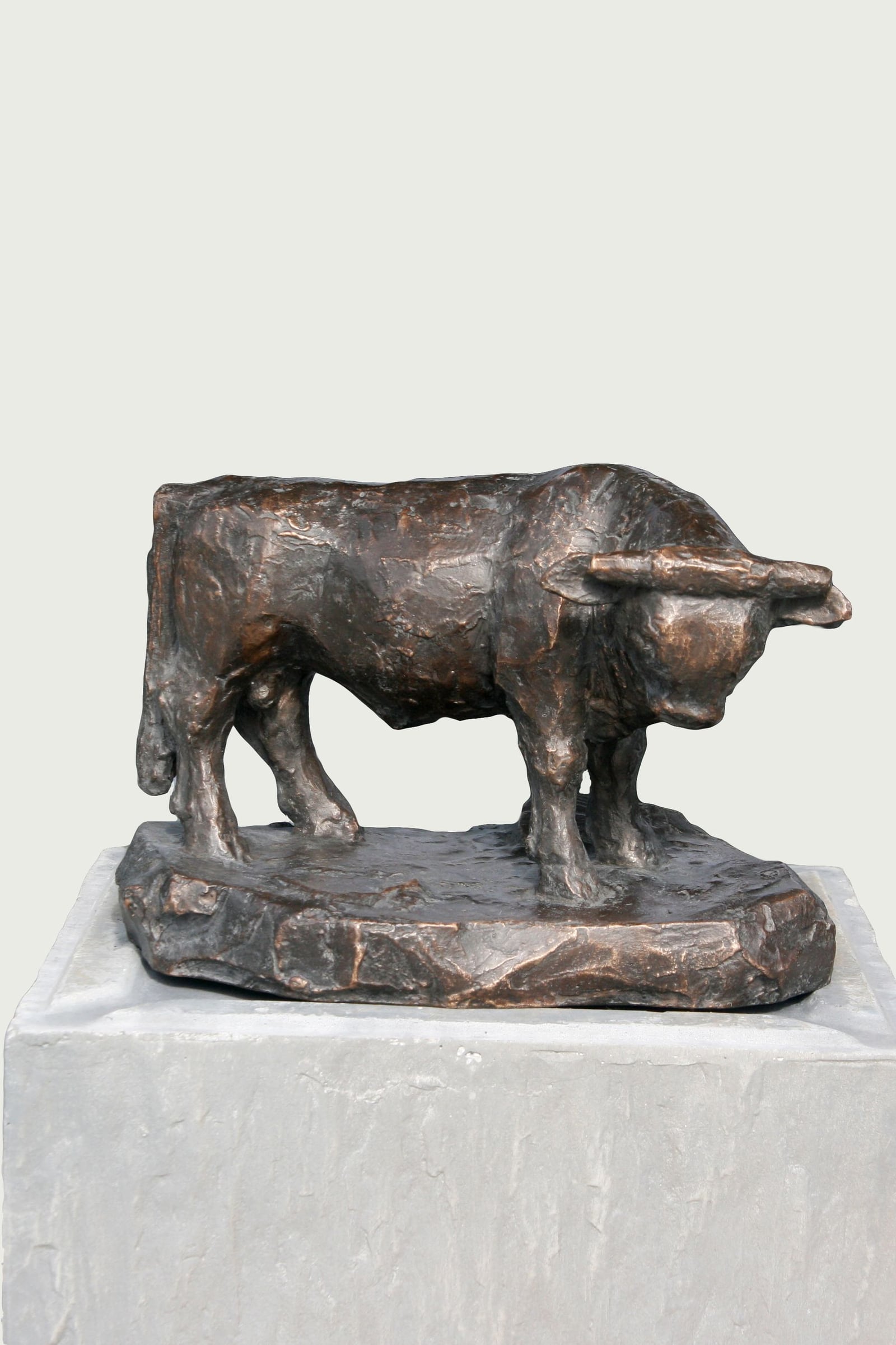 Stier – More views 1